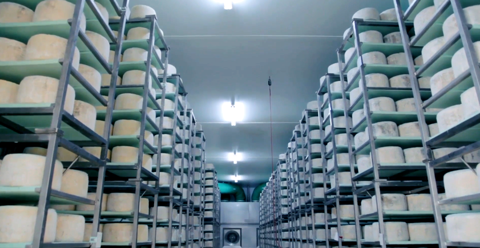 Pannelli Termici per la Ristrutturazione e la Costruzione di Stabilimenti Alimentari, Farmaceutici e Camere Bianche: Guida ai Vantaggi Strategici per le Imprese