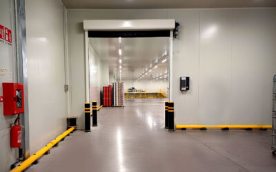 Come contrastare le muffe negli ambienti alimentari